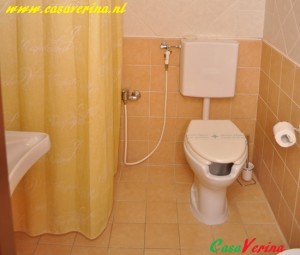 albicocca6